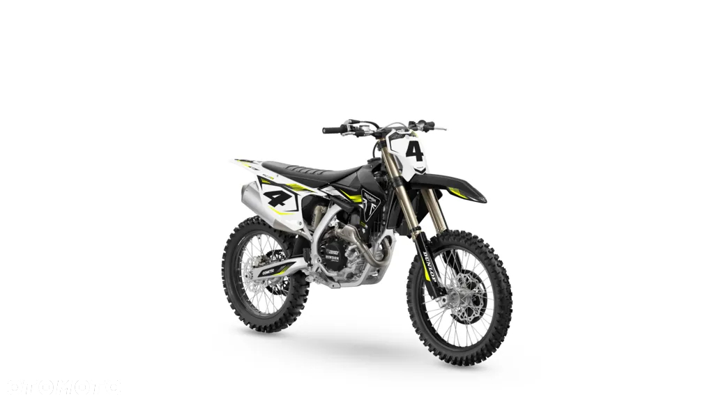Triumph Inny - 20