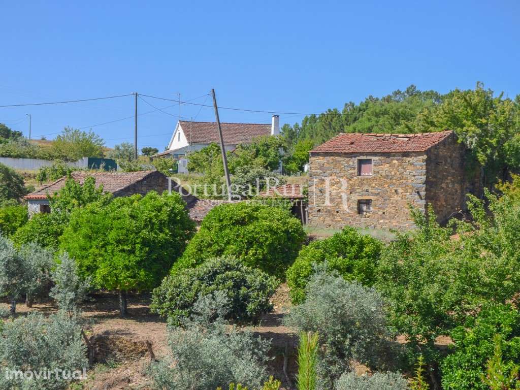 Quintinha com 4 hectares e 2 construções em aldeia da Beira Baixa - Grande imagem: 2/39