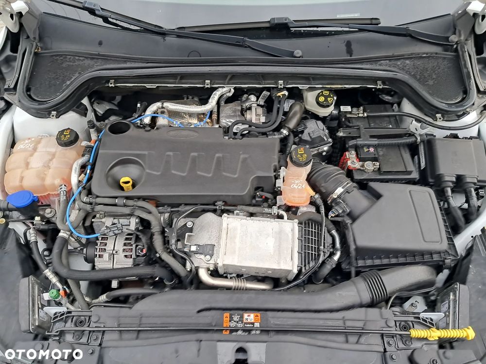 Ford Focus 2.0 EcoBlue Titanium Business - 24