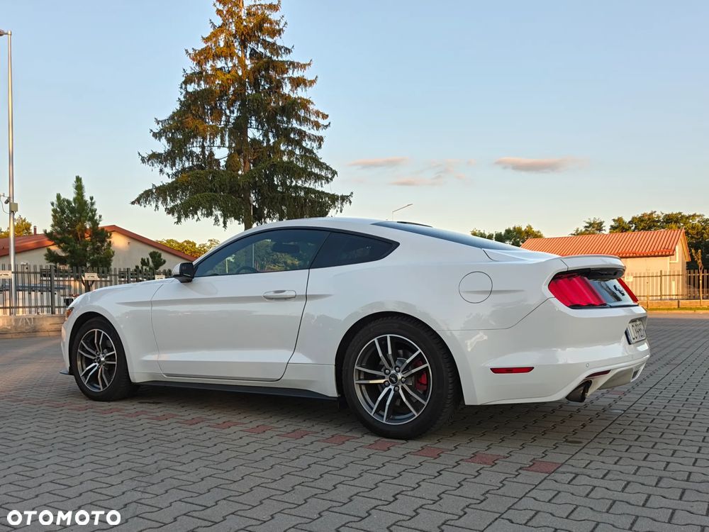 Ford Mustang 2.3 EcoBoost - 2