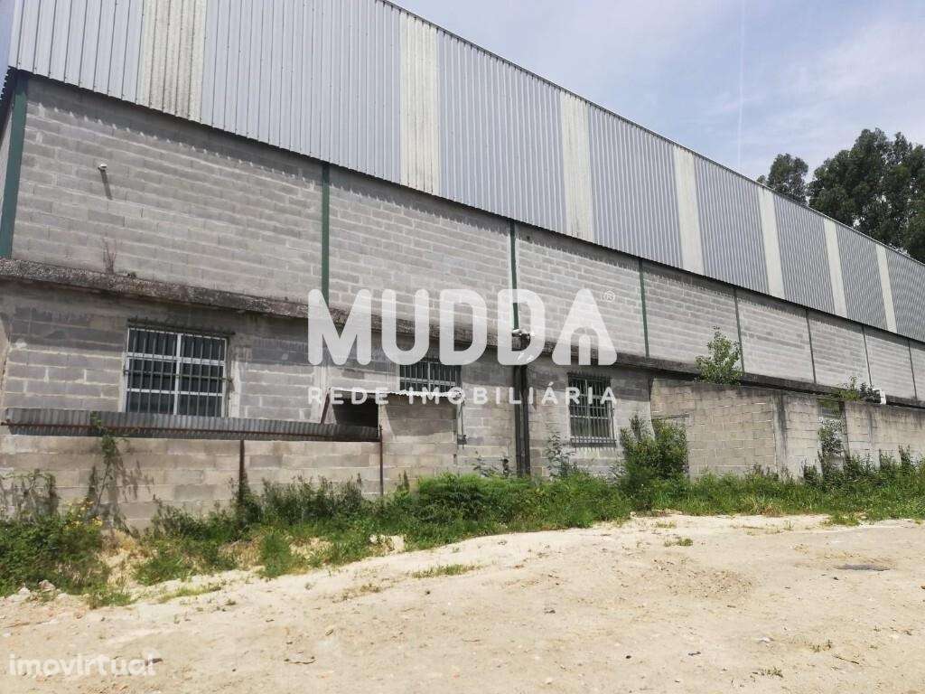 Pavilhão, Sever do Vouga - Grande imagem: 4/5