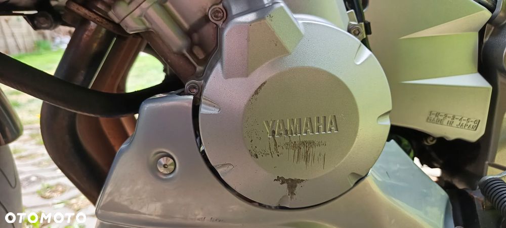 Yamaha FZ6 - 16