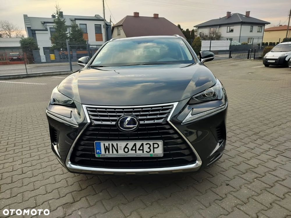 Lexus NX 300h Business Edition AWD - 22