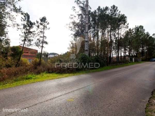Prédio Industrial / Armazém em Maceirinha, Maceira – Leiria - Grande imagem: 2/14