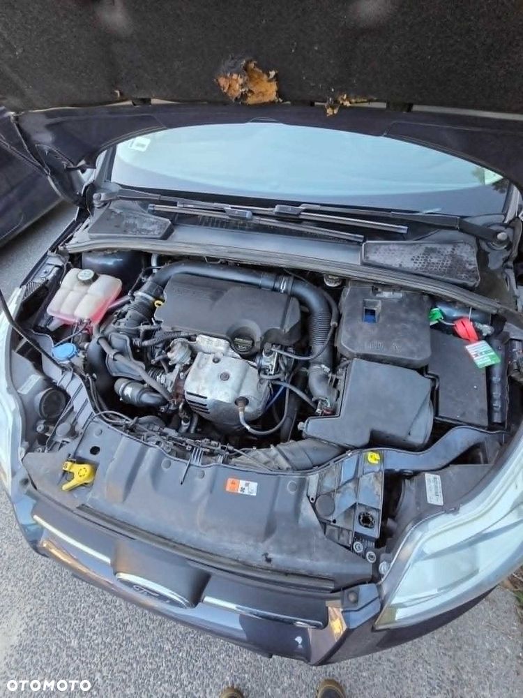 Ford Focus - 8