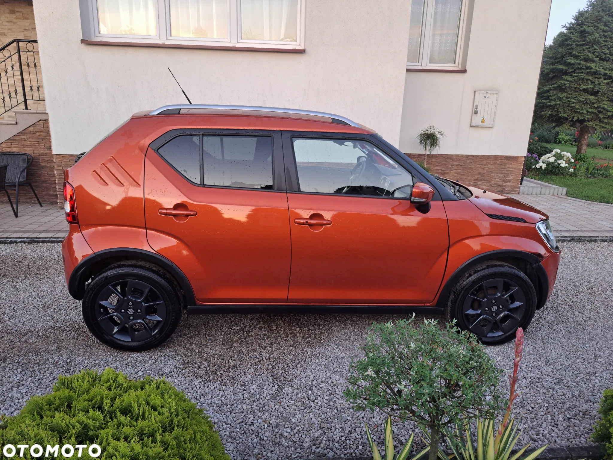 Suzuki Ignis - 2