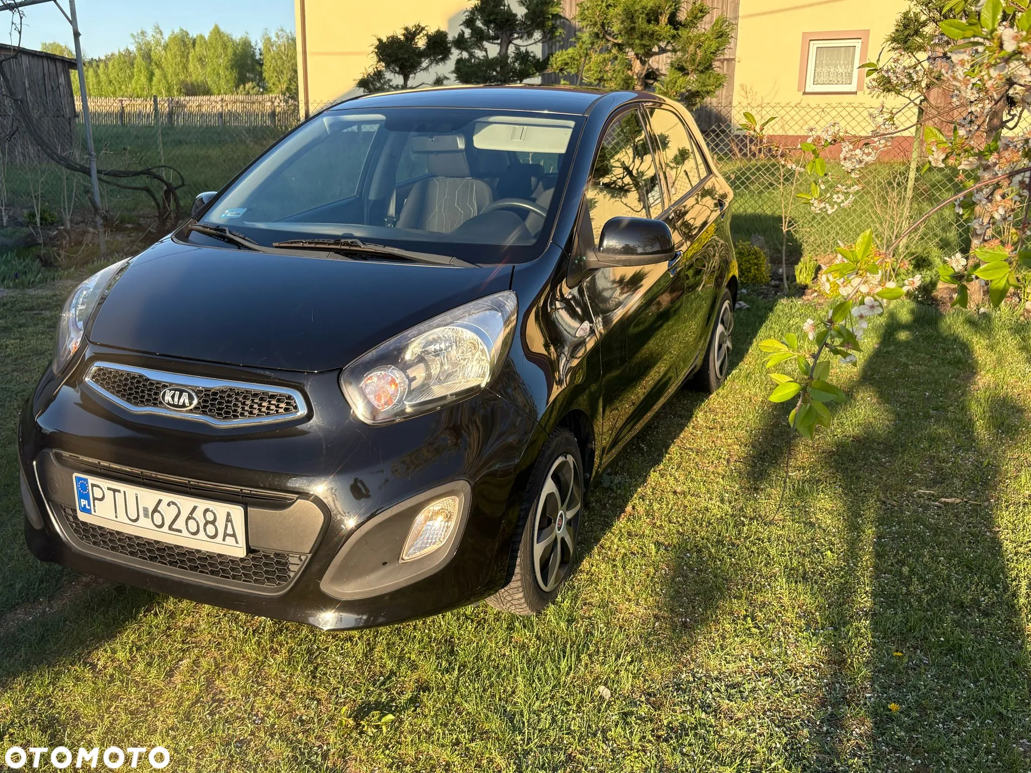Kia Picanto - 3