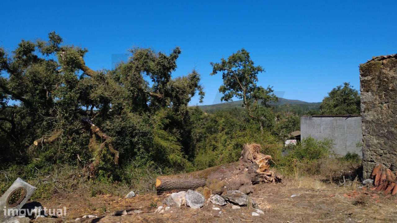 Terreno para Construção em Santiago da Guarda – Ansião - Grande imagem: 2/10