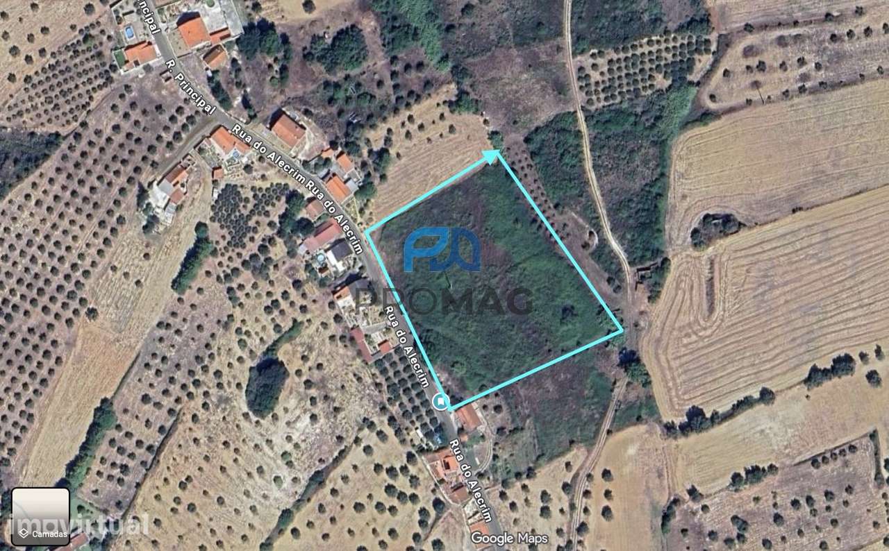 Quinta com Ruína – Oportunidade de Investimento | Santarém - Grande imagem: 4/8
