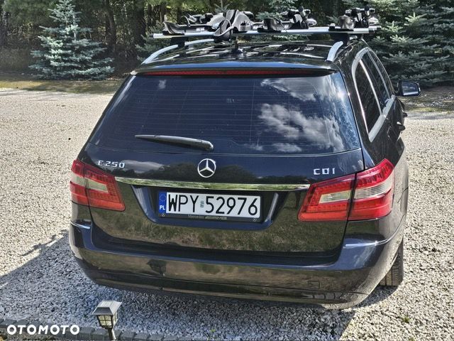 Mercedes-Benz Klasa E 250 CDI DPF BlueEFFICIENCY Automatik Elegance - 14