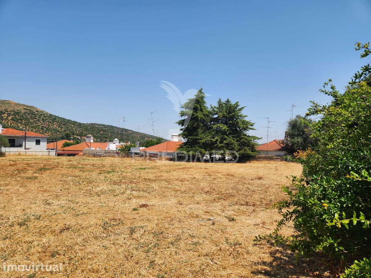 QUINTA HORTA DAS LARANJEIRAS ELVAS BOA FÉ - Grande imagem: 3/31