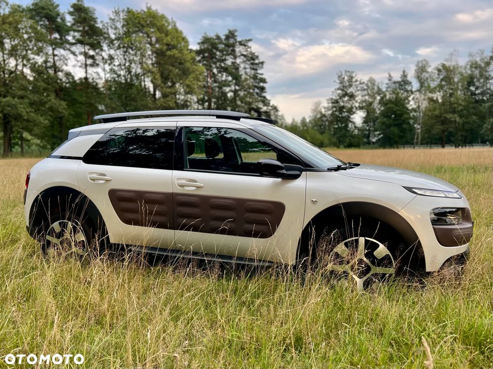 Citroën C4 Cactus BlueHDi 100 Stop&Start Shine Edition - 3