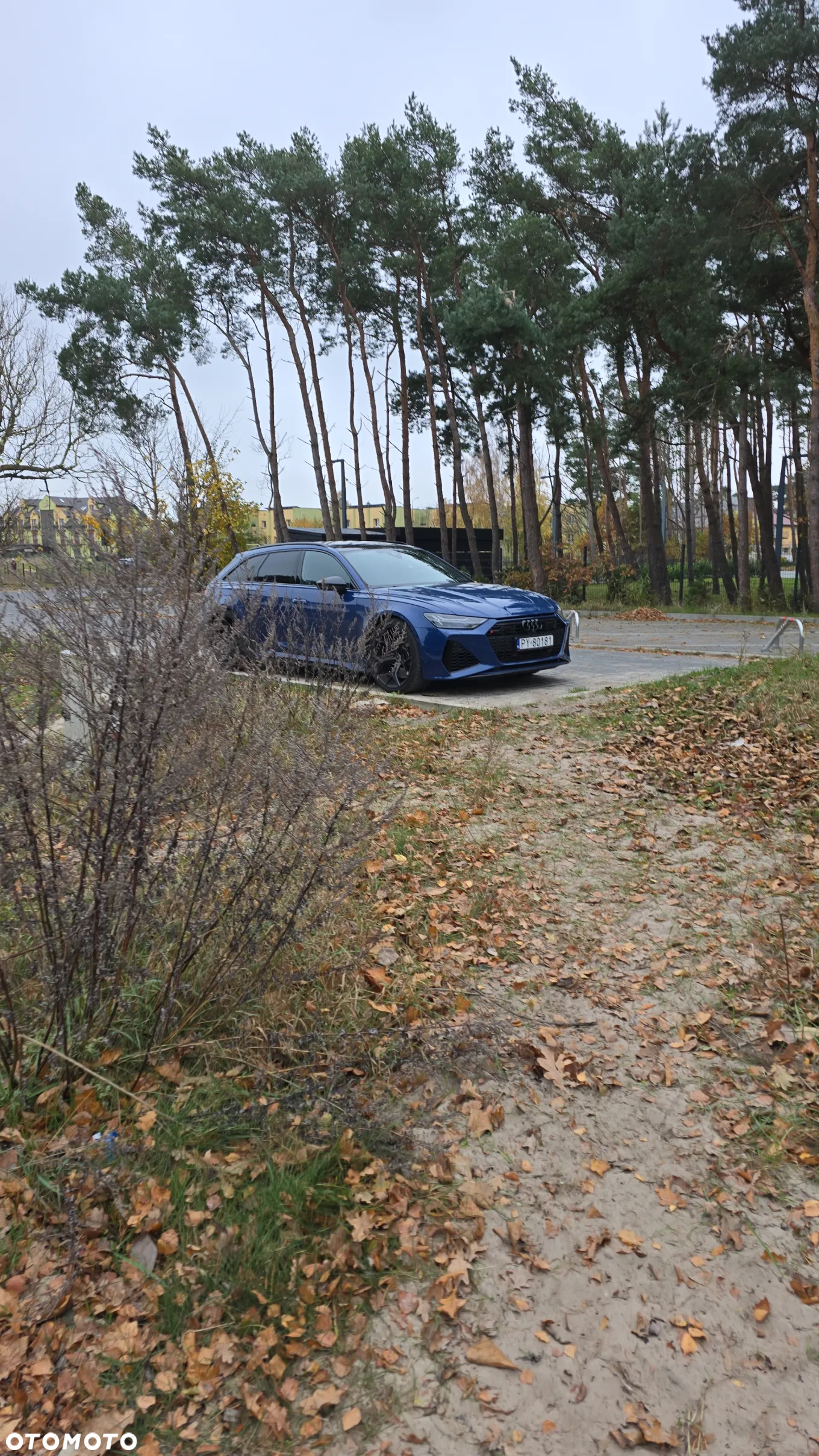 Audi RS6 - 15