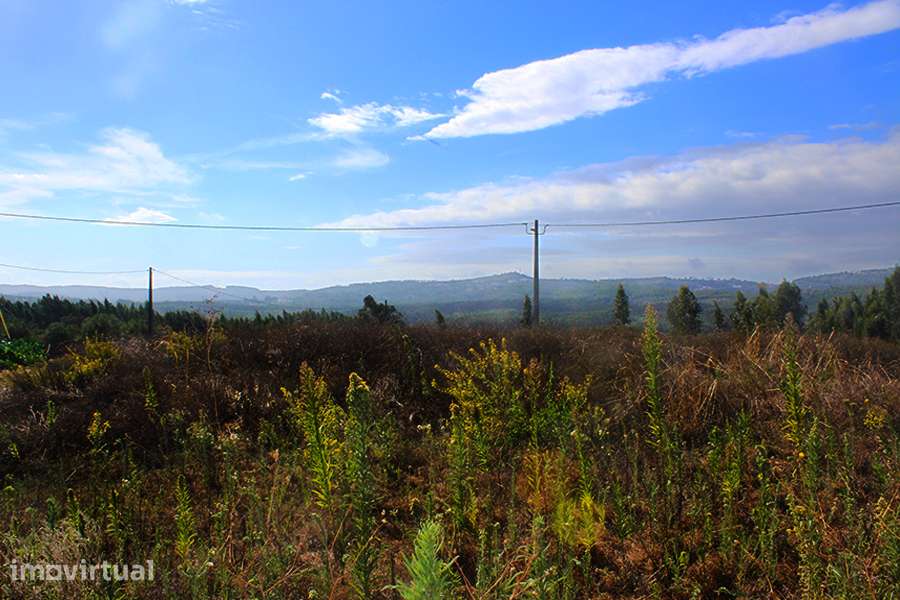 Terreno urbanizável, vista panorâmica, a 3 min. de Rio Maior, Cidral - Grande imagem: 3/9