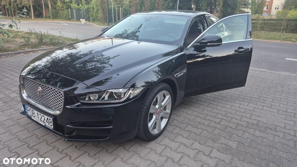 Jaguar XE - 11