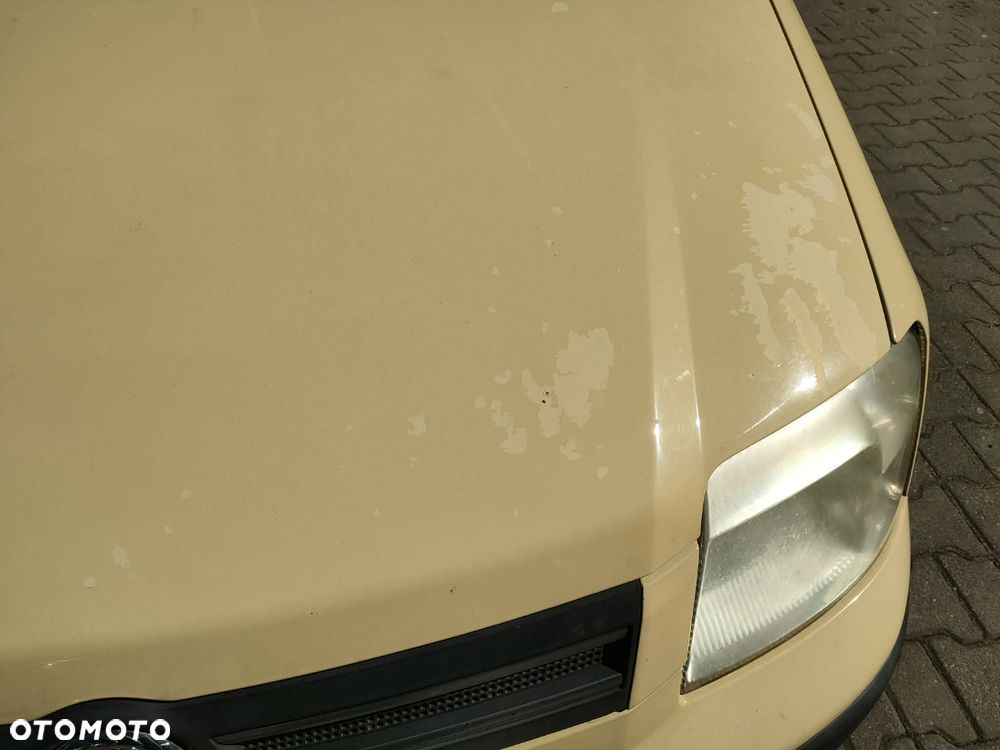 Fiat Panda 1.2 Dynamic - 20