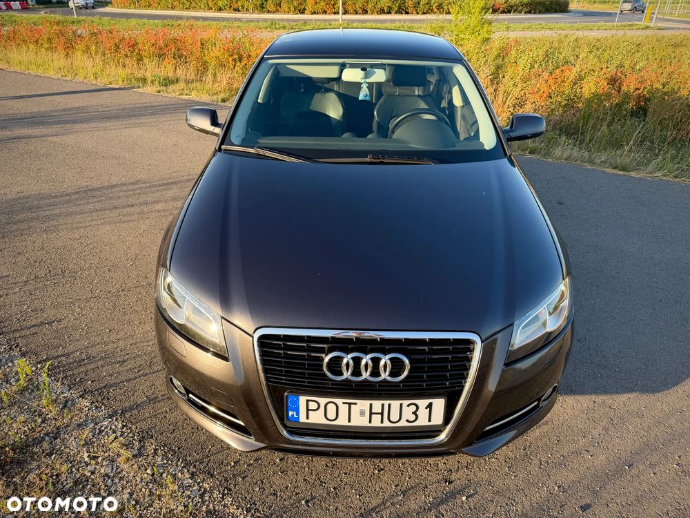 Audi A3 Sportback 1.6 TDI DPF Attraction - 14
