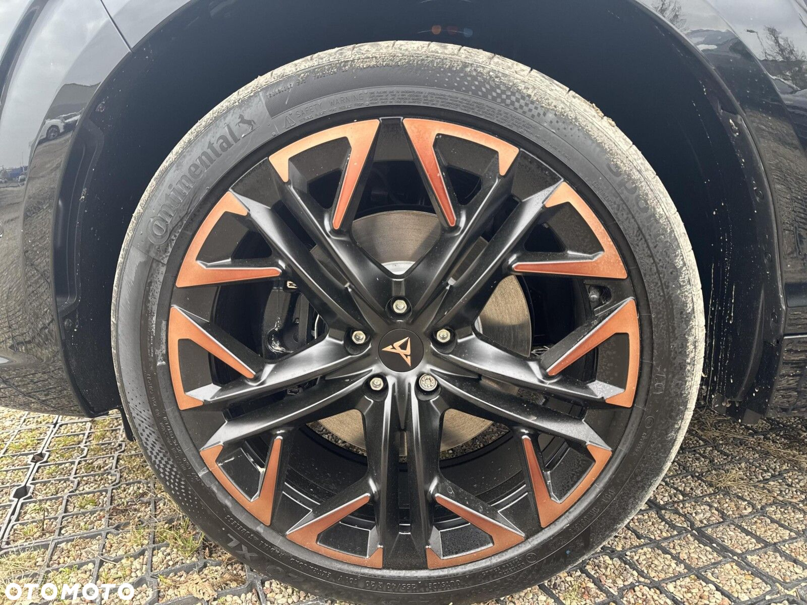Cupra Terramar - 26