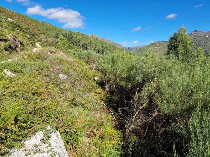 Terreno / coutada na Zona do Gerês / Rio Caldo - Grande imagem: 4/7