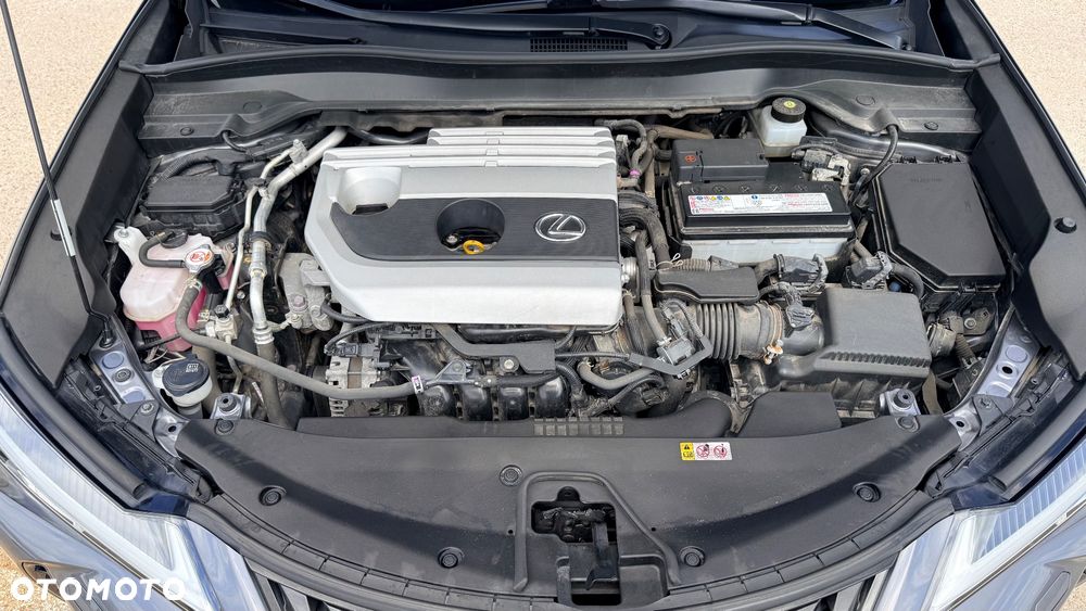 Lexus UX - 9