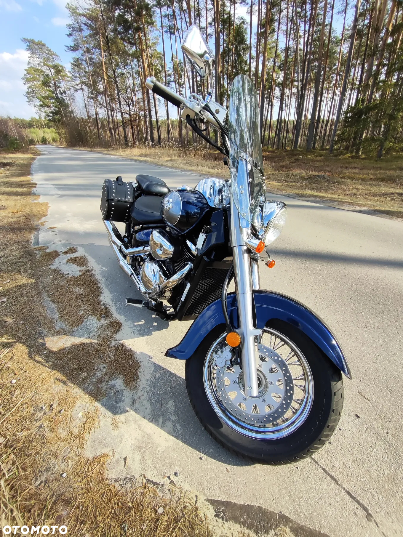 Suzuki VL 800 Volusia - 6