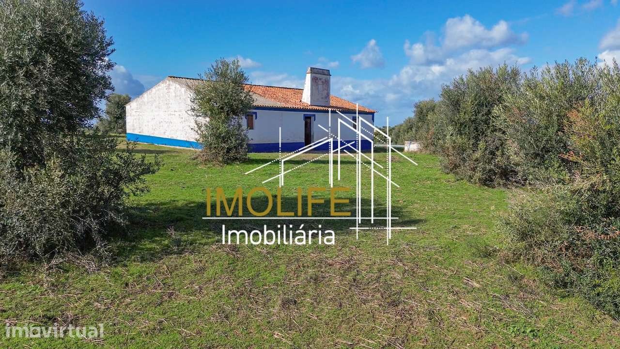Monte Courela da Boavista - Tesas - Malarranha - Grande imagem: 4/60