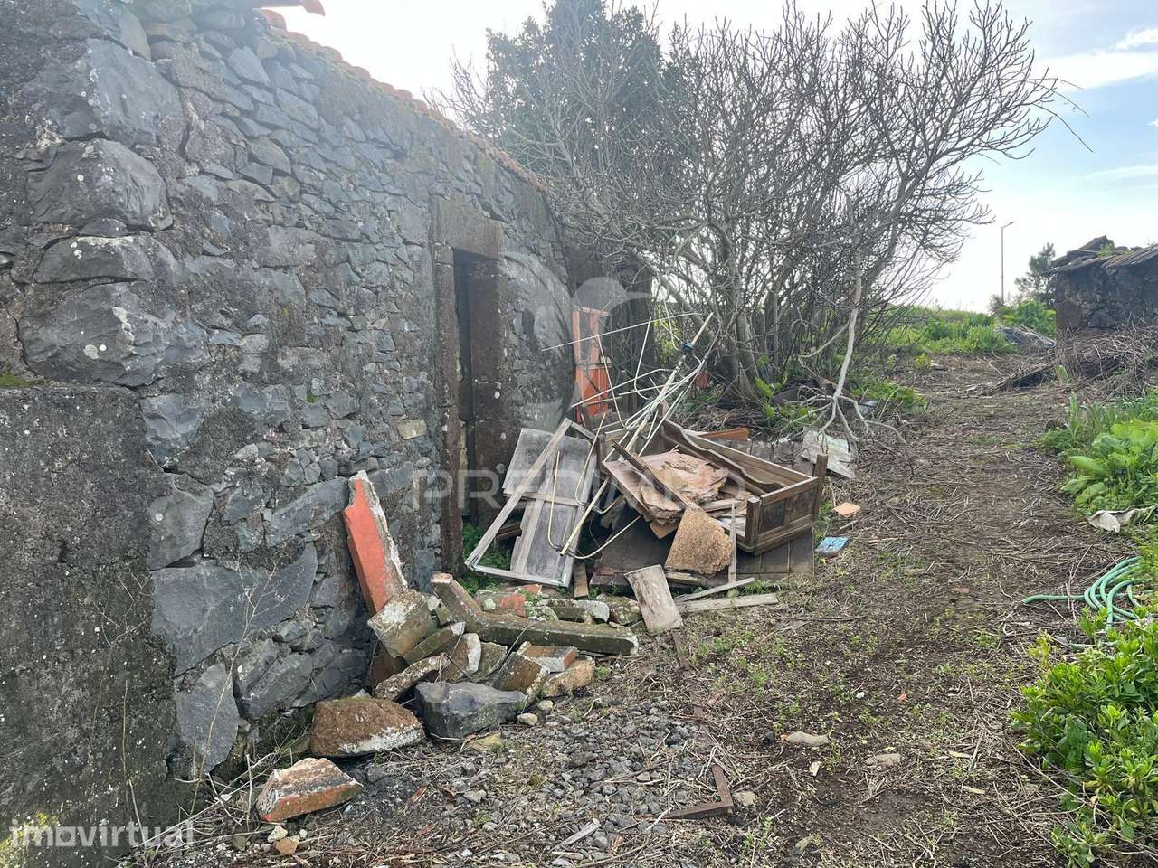 MORADIA TÉRREA E PALHEIRO COM TERRENO NA RAPOSEIRA-MADEIRA PARA REC... - Grande imagem: 2/6