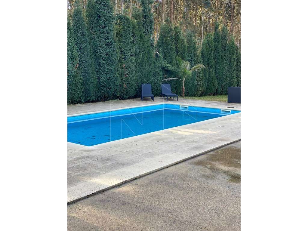 Duas Moradias Independentes - Águeda - Grande imagem: 3/9