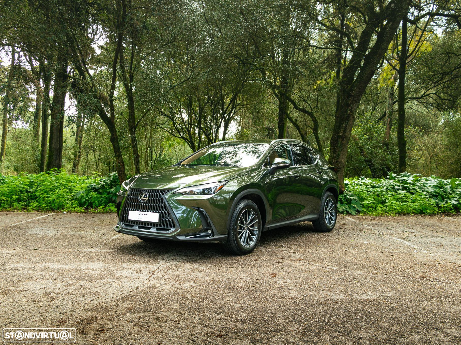 Lexus NX 450h+ - 1