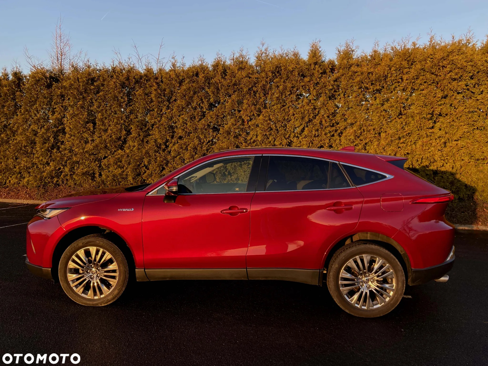 Toyota Venza - 11
