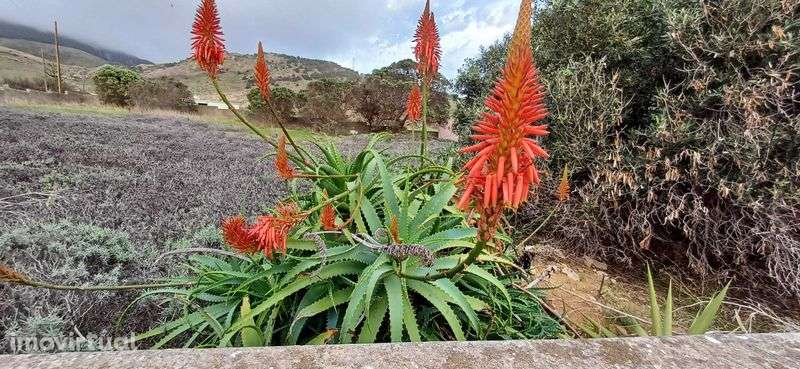 Moradia independente  ( 802 m2 )    Er 233  Casinhas  Porto Santo - Grande imagem: 2/12