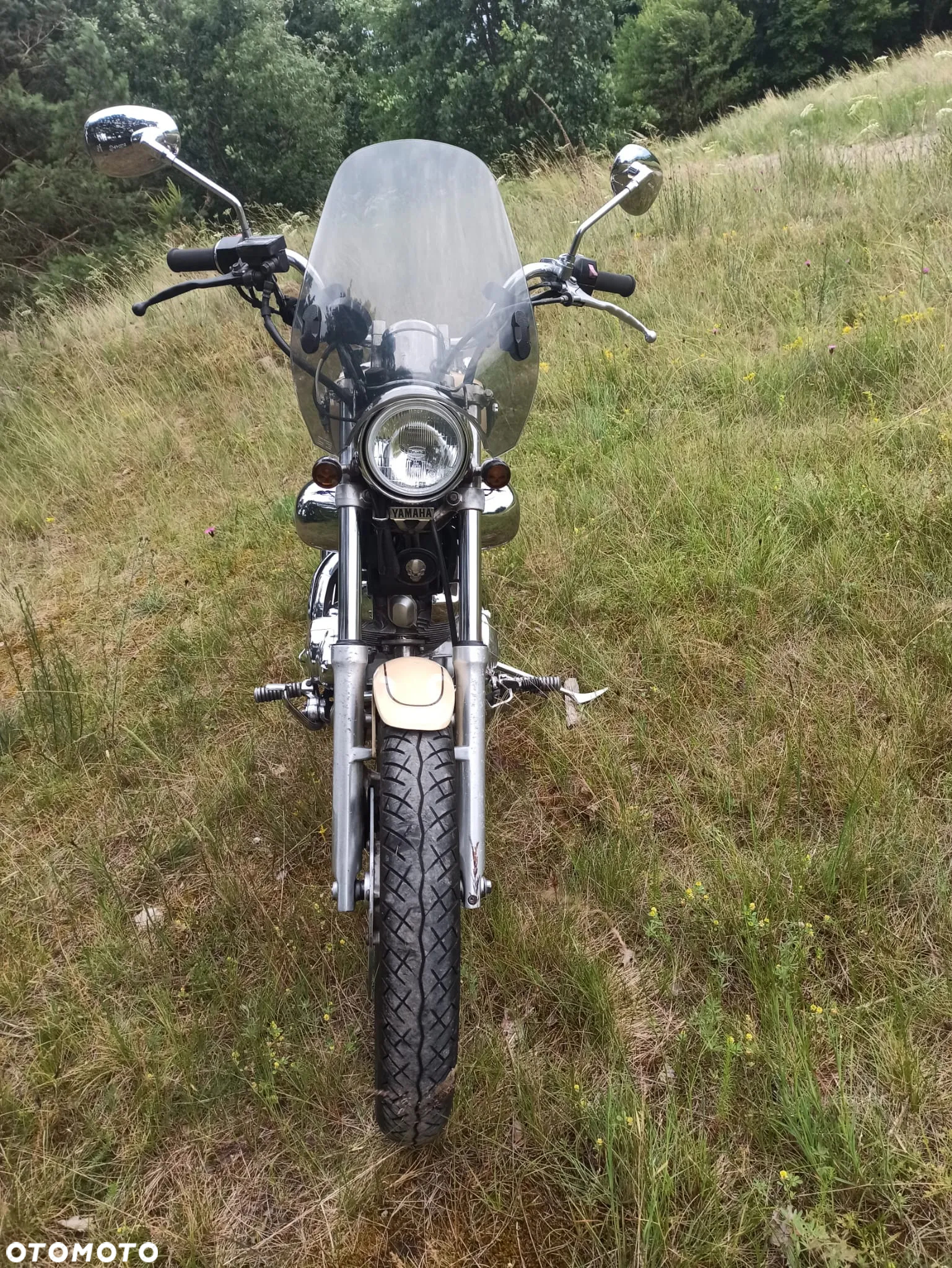 Yamaha Virago - 4