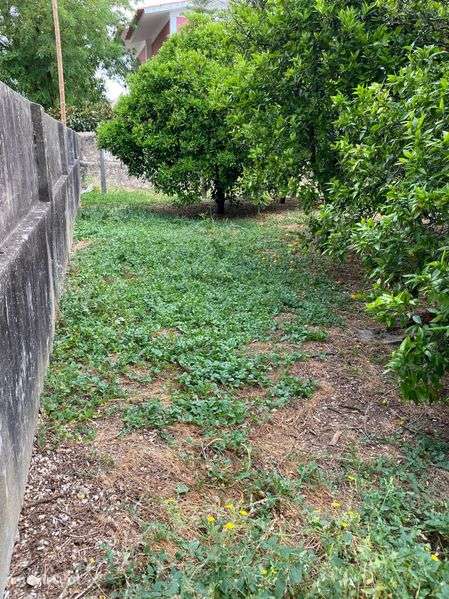 Terreno para Construção - Grande imagem: 3/4