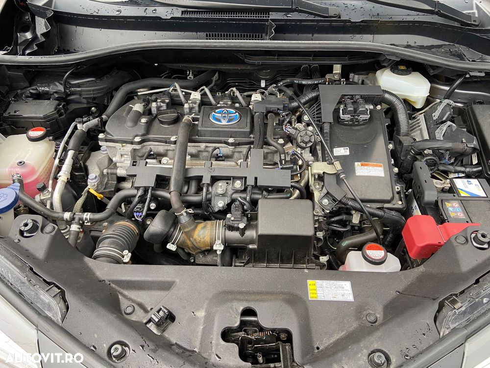 Toyota C-HR Hybrid Business-Edition - 13