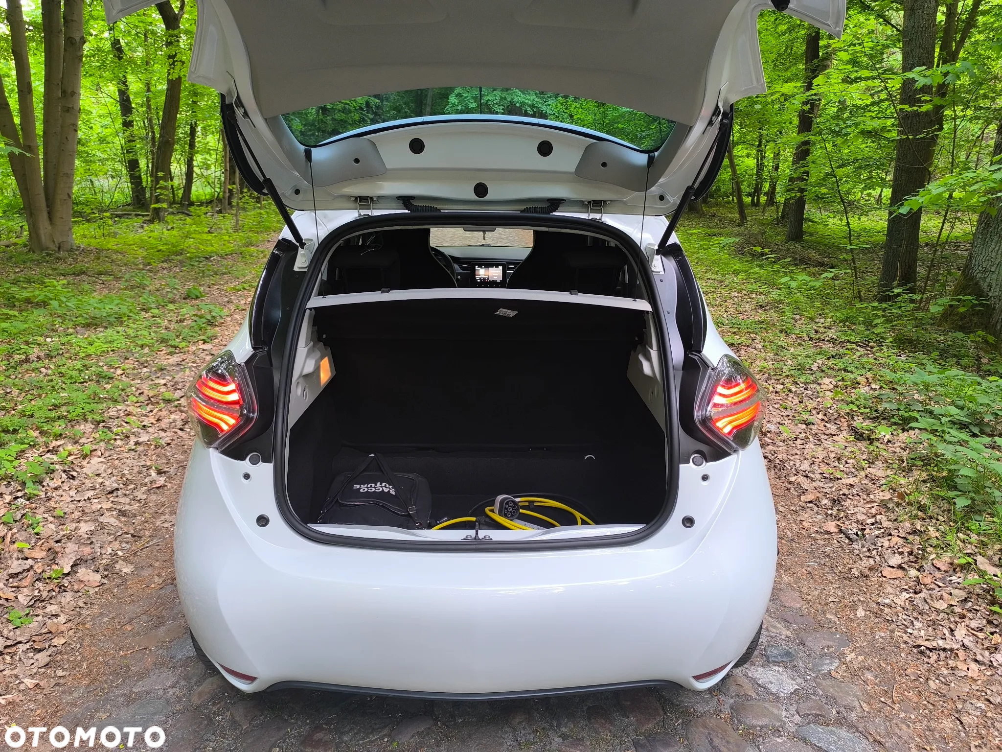 Renault Zoe R110 Z.E 50 Zen - 14