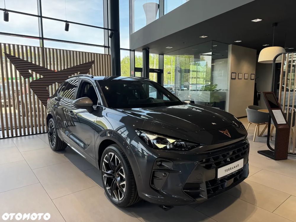 Cupra Terramar - 4
