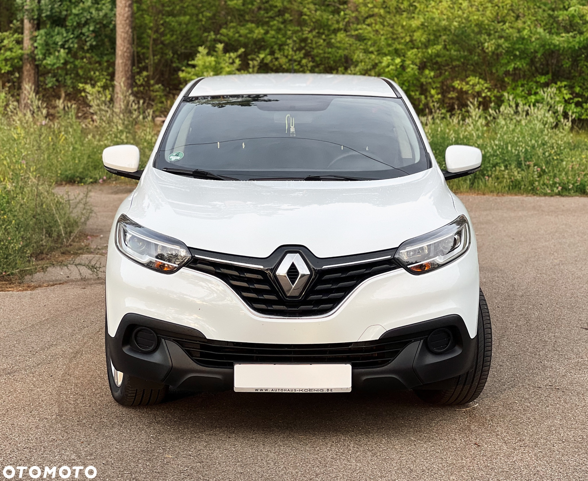 Renault Kadjar Energy TCe 130 Business - 2