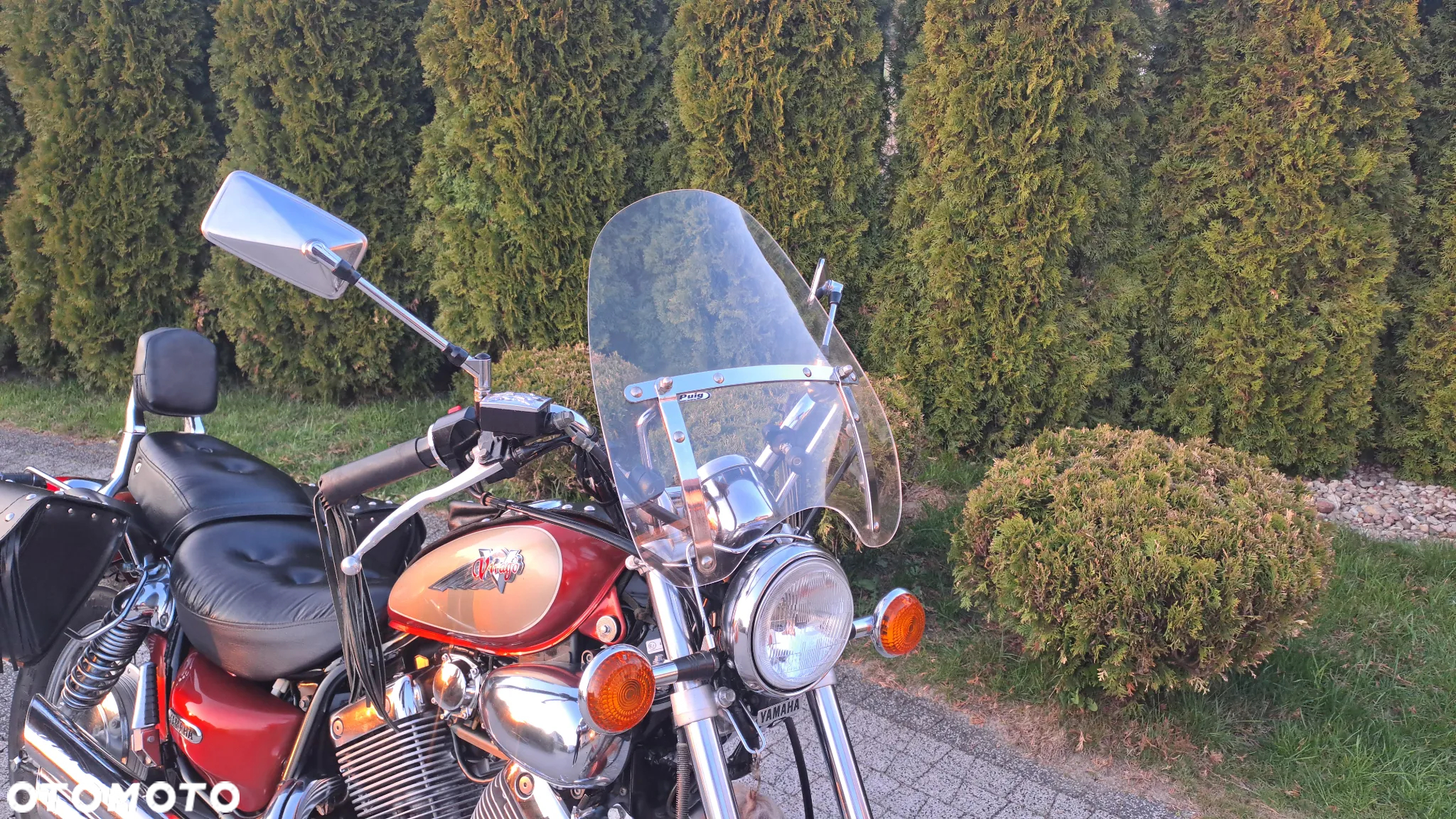 Yamaha Virago - 6
