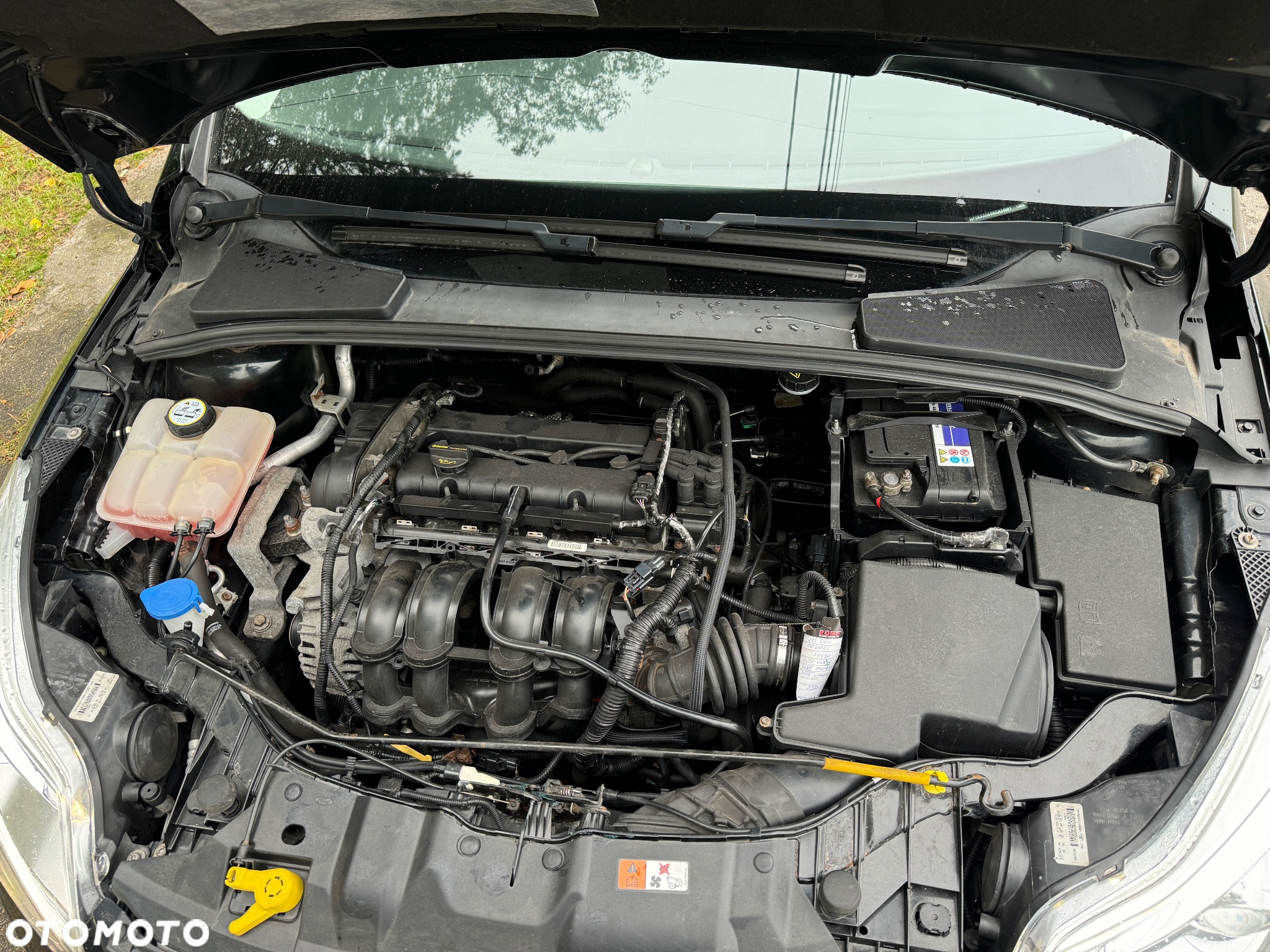 Ford Focus 1.6 Edition - 27
