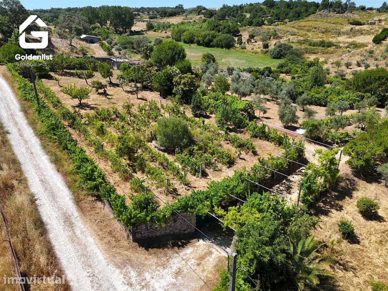 Quinta  Venda em Castelo Branco,Castelo Branco - Grande imagem: 2/30