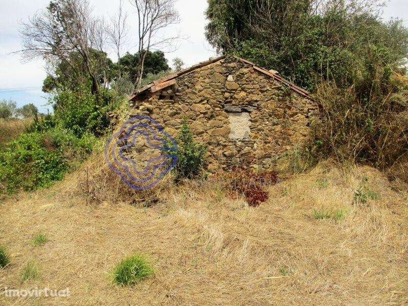 Terreno agrícola com 4.280 m2 a 5 minutos da Aldeia de Dornes, centro - Grande imagem: 2/15