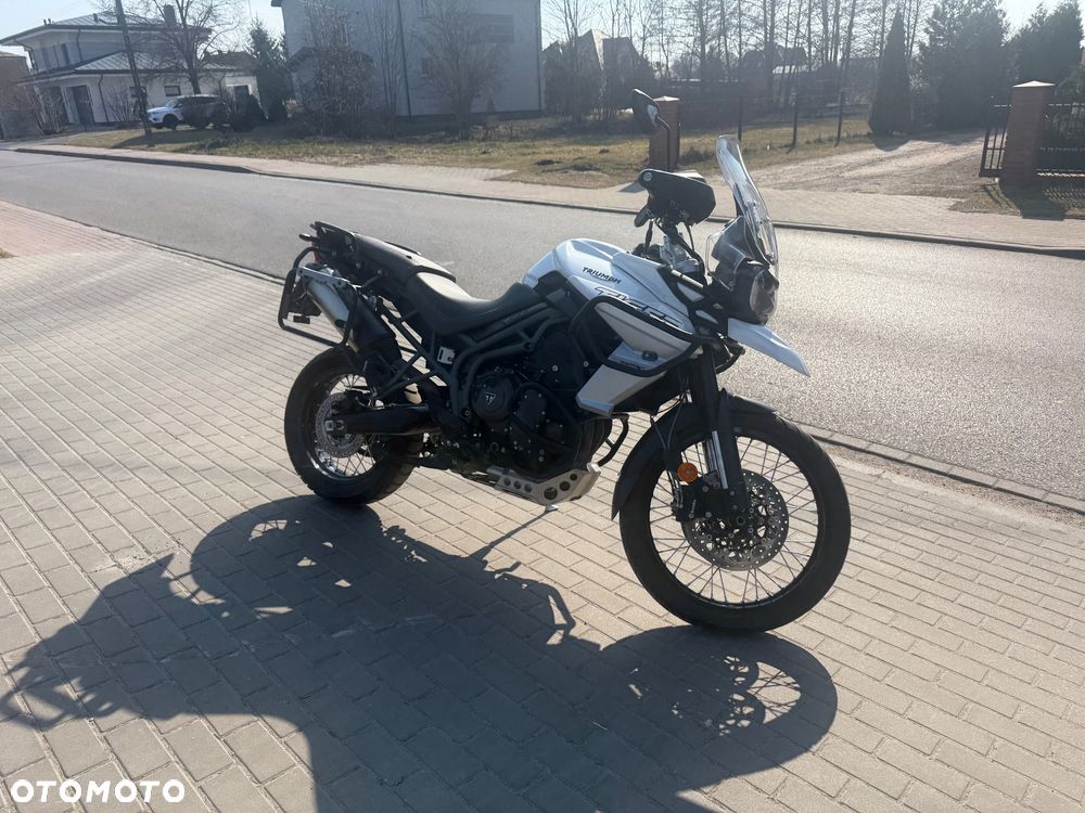 Triumph Tiger - 14