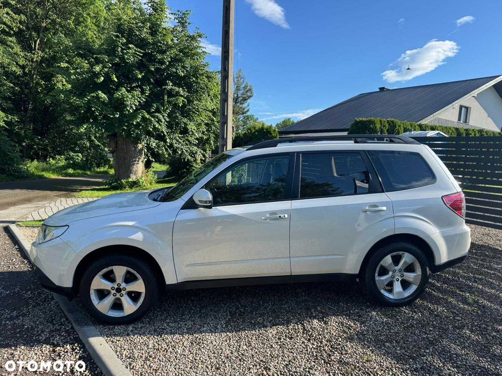 Subaru Forester - 3