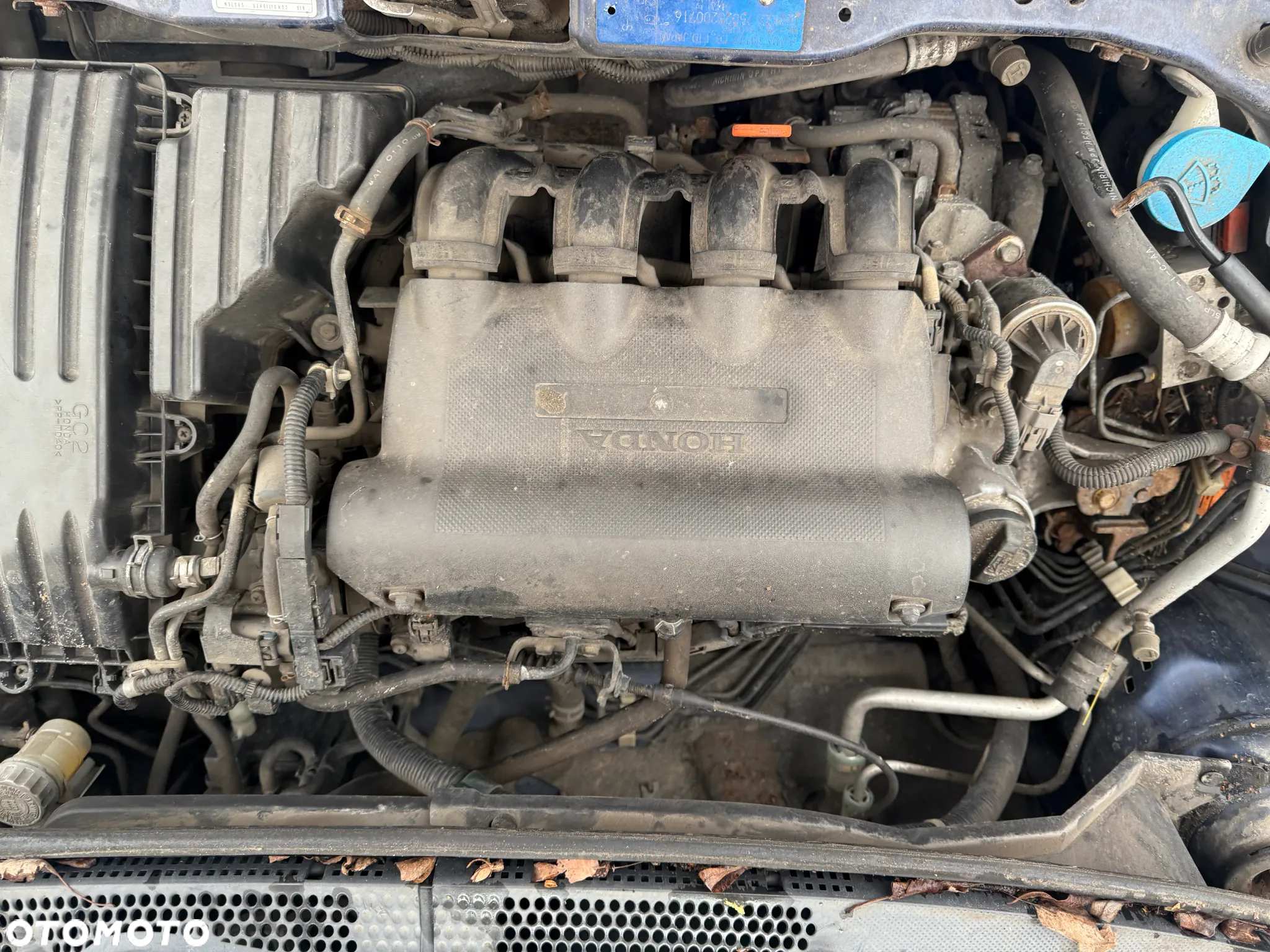 Honda Jazz II 1.3 i-DSI Skrzynia Maska Drzwi Lampa - 4