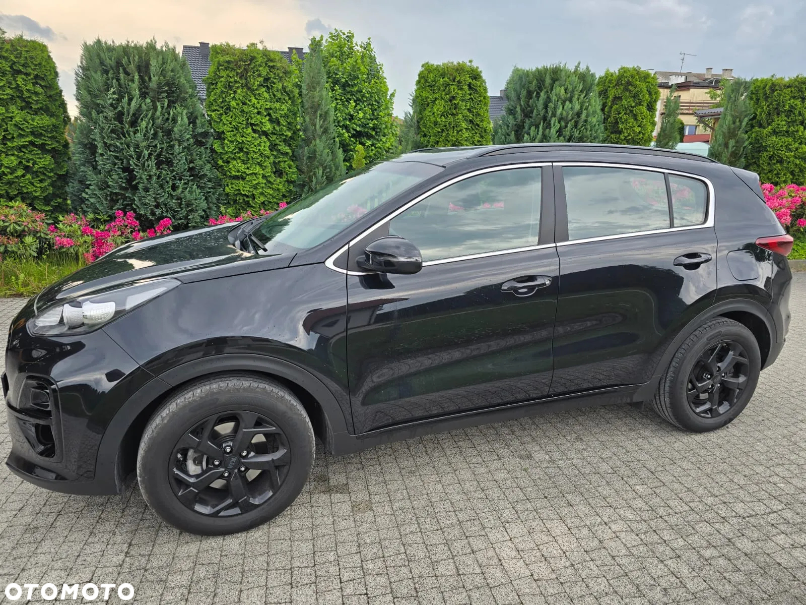 Kia Sportage - 16