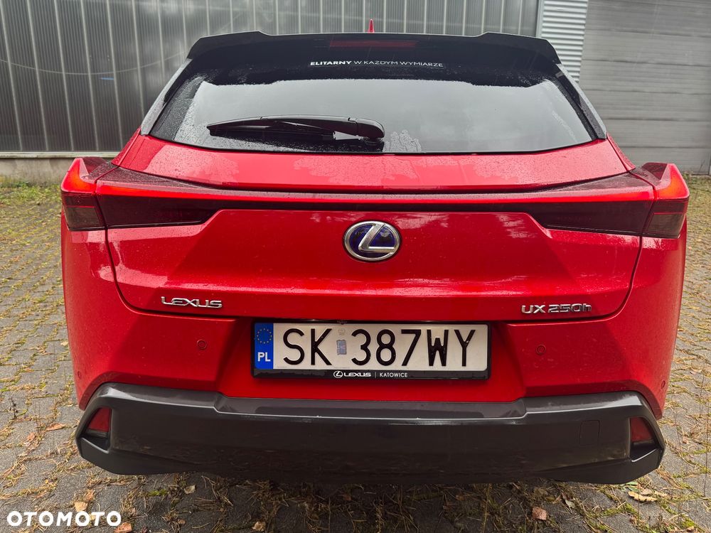 Lexus UX 250h GPF Business Edition 2WD - 30