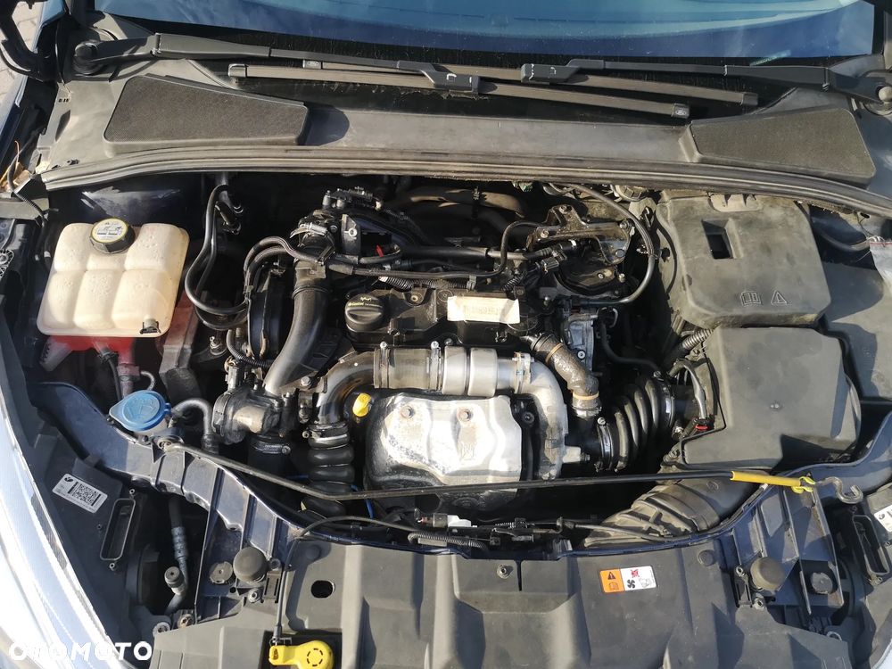 Ford Focus - 18