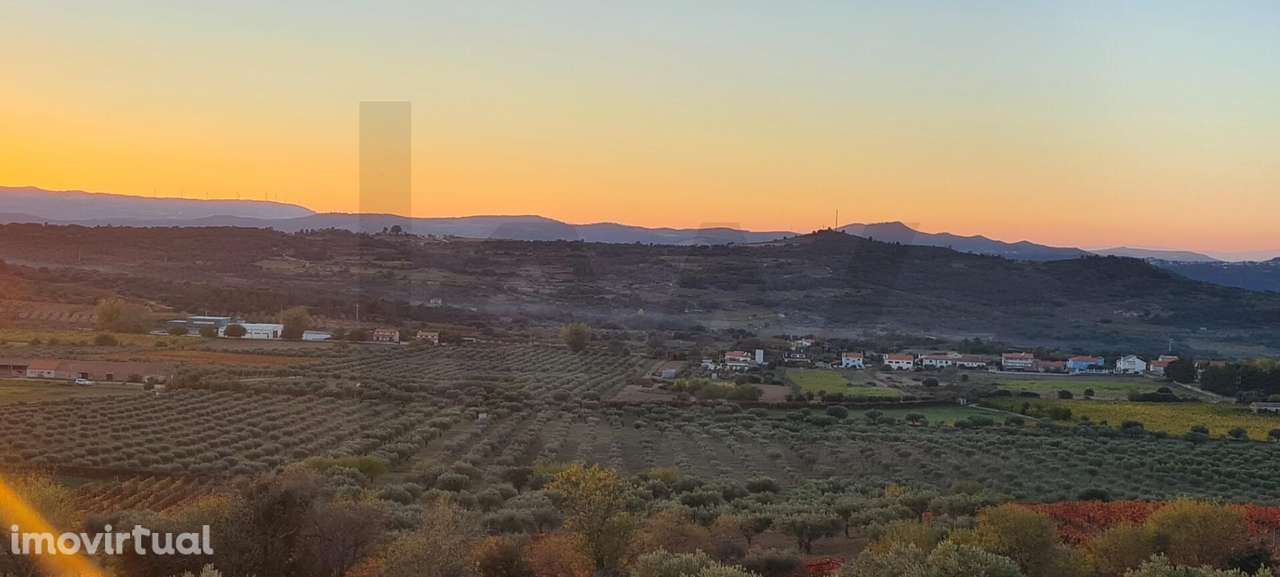 Oportunidade Única | Propriedade Agrícola | 36 Hectares: Oliveiras, Am - Grande imagem: 3/48