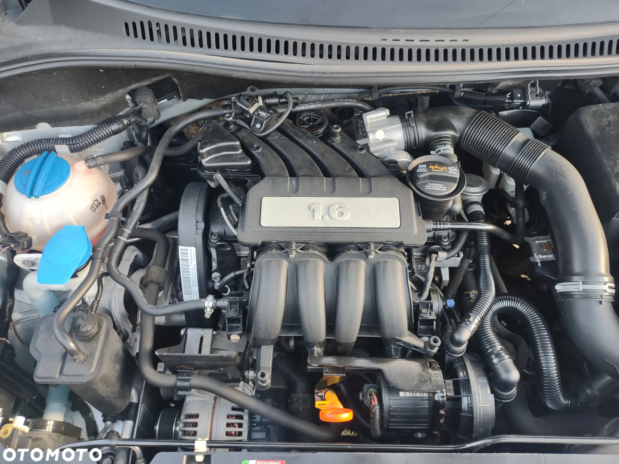 Seat Altea XL 1.6 Reference - 15