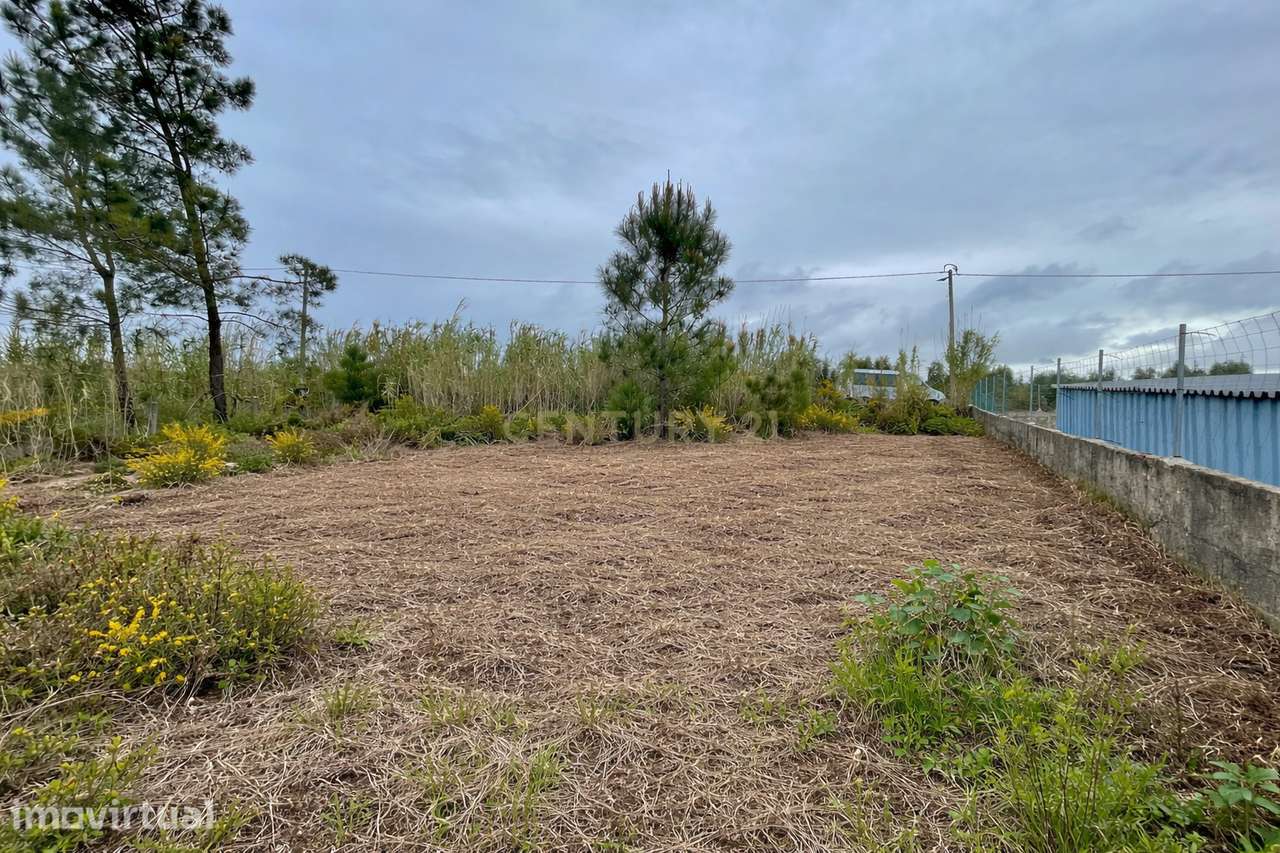 Terreno para Construção na Quinta da Marquesa - Quinta do Anjo - Palme - Grande imagem: 2/5